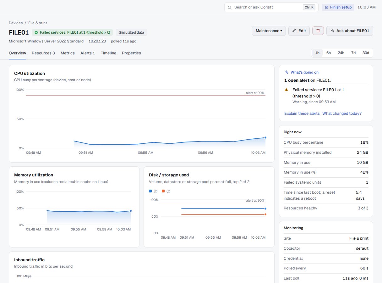 A server in Watch: CPU, memory and disk charts with alert lines, and what's going on right now